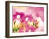 Pink Flowers-null-Framed Photographic Print