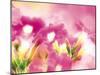 Pink Flowers-null-Mounted Photographic Print