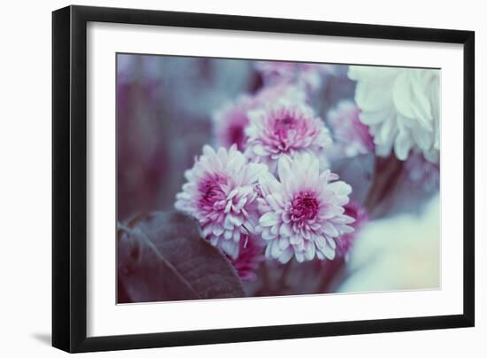 Pink Flowers-Carolina Hernandez-Framed Photographic Print