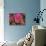 Pink Flowers-Anna Miller-Photographic Print displayed on a wall