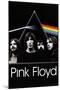 Pink Floyd - Dark Side of the Moon Group-null-Mounted Poster
