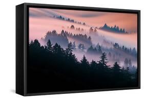 Pink Fog Flow, Sunset Mood and Flow, Marin County, San Francisco-Vincent James-Framed Stretched Canvas