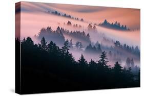 Pink Fog Flow, Sunset Mood and Flow, Marin County, San Francisco-Vincent James-Stretched Canvas