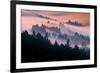 Pink Fog Flow, Sunset Mood and Flow, Marin County, San Francisco-Vincent James-Framed Photographic Print