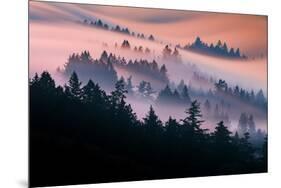 Pink Fog Flow, Sunset Mood and Flow, Marin County, San Francisco-Vincent James-Mounted Photographic Print