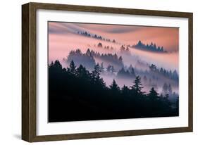 Pink Fog Flow, Sunset Mood and Flow, Marin County, San Francisco-Vincent James-Framed Photographic Print