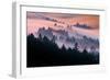 Pink Fog Flow, Sunset Mood and Flow, Marin County, San Francisco-Vincent James-Framed Photographic Print