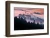 Pink Fog Flow, Sunset Mood and Flow, Marin County, San Francisco-Vincent James-Framed Photographic Print