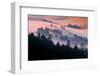 Pink Fog Flow, Sunset Mood and Flow, Marin County, San Francisco-Vincent James-Framed Photographic Print