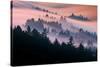 Pink Fog Flow, Sunset Mood and Flow, Marin County, San Francisco-Vincent James-Stretched Canvas