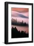 Pink Fog, Sunset Light and Flowing Fog from Pacific Ocean, San Francisco-Vincent James-Framed Photographic Print