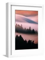 Pink Fog, Sunset Light and Flowing Fog from Pacific Ocean, San Francisco-Vincent James-Framed Photographic Print