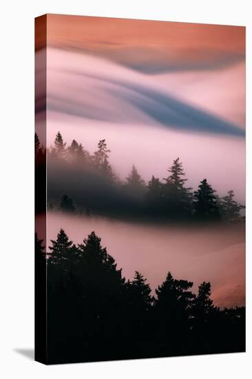 Pink Fog, Sunset Light and Flowing Fog from Pacific Ocean, San Francisco-Vincent James-Stretched Canvas