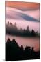 Pink Fog, Sunset Light and Flowing Fog from Pacific Ocean, San Francisco-Vincent James-Mounted Photographic Print