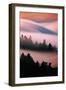 Pink Fog, Sunset Light and Flowing Fog from Pacific Ocean, San Francisco-Vincent James-Framed Photographic Print