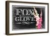 Pink Fox Gloves-null-Framed Giclee Print