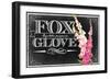 Pink Fox Gloves-null-Framed Giclee Print