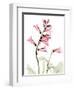 Pink Foxglove Portrait-Albert Koetsier-Framed Art Print