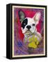 Pink French Bulldog-Cathy Cute-Framed Stretched Canvas