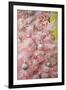 Pink Frosted Christmas Tree, Palm Springs, California, USA-Julien McRoberts-Framed Photographic Print