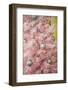 Pink Frosted Christmas Tree, Palm Springs, California, USA-Julien McRoberts-Framed Photographic Print