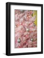 Pink Frosted Christmas Tree, Palm Springs, California, USA-Julien McRoberts-Framed Photographic Print