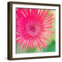 Pink Fun I-Susan Bryant-Framed Photographic Print