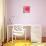 Pink Fun II-Susan Bryant-Photographic Print displayed on a wall