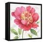 Pink Garden II-Lisa Audit-Framed Stretched Canvas