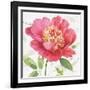 Pink Garden II-Lisa Audit-Framed Art Print