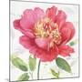 Pink Garden II-Lisa Audit-Mounted Art Print