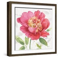 Pink Garden II-Lisa Audit-Framed Art Print