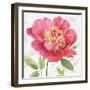 Pink Garden II-Lisa Audit-Framed Art Print