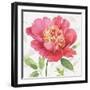 Pink Garden II-Lisa Audit-Framed Art Print