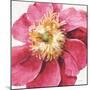 Pink Garden VI-Lisa Audit-Mounted Art Print