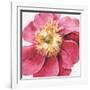 Pink Garden VI-Lisa Audit-Framed Art Print