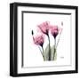 Pink Gentian-Albert Koetsier-Framed Art Print