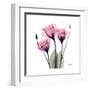 Pink Gentian-Albert Koetsier-Framed Art Print