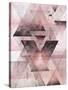 Pink Geometric-Urban Epiphany-Stretched Canvas