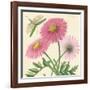 Pink Gerber-Louis Van Houtte-Framed Art Print