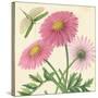 Pink Gerber-Louis Van Houtte-Stretched Canvas