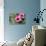 Pink Gerbera Daisies-null-Stretched Canvas displayed on a wall