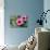 Pink Gerbera Daisies-null-Photo displayed on a wall