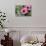 Pink Gerbera Daisies-null-Photo displayed on a wall