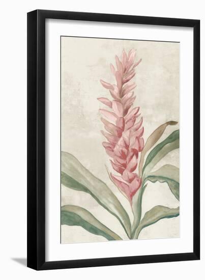 Pink Ginger I-Jacob Q-Framed Art Print