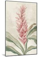 Pink Ginger I-Jacob Q-Mounted Art Print