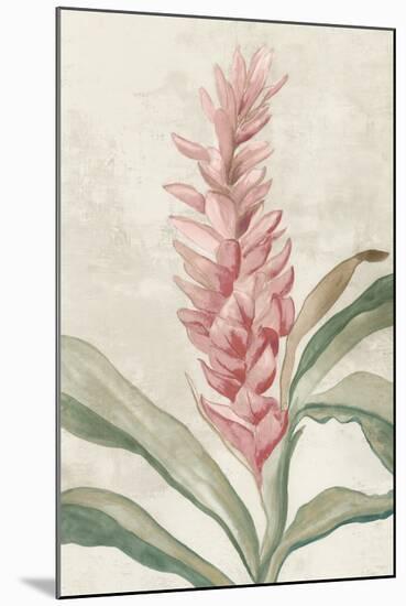 Pink Ginger I-Jacob Q-Mounted Art Print