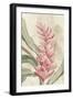 Pink Ginger II-Jacob Q-Framed Art Print