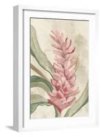 Pink Ginger II-Jacob Q-Framed Art Print