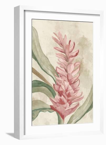 Pink Ginger II-Jacob Q-Framed Art Print